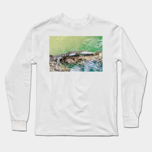 Water Snake Slithering Along Long Sleeve T-Shirt